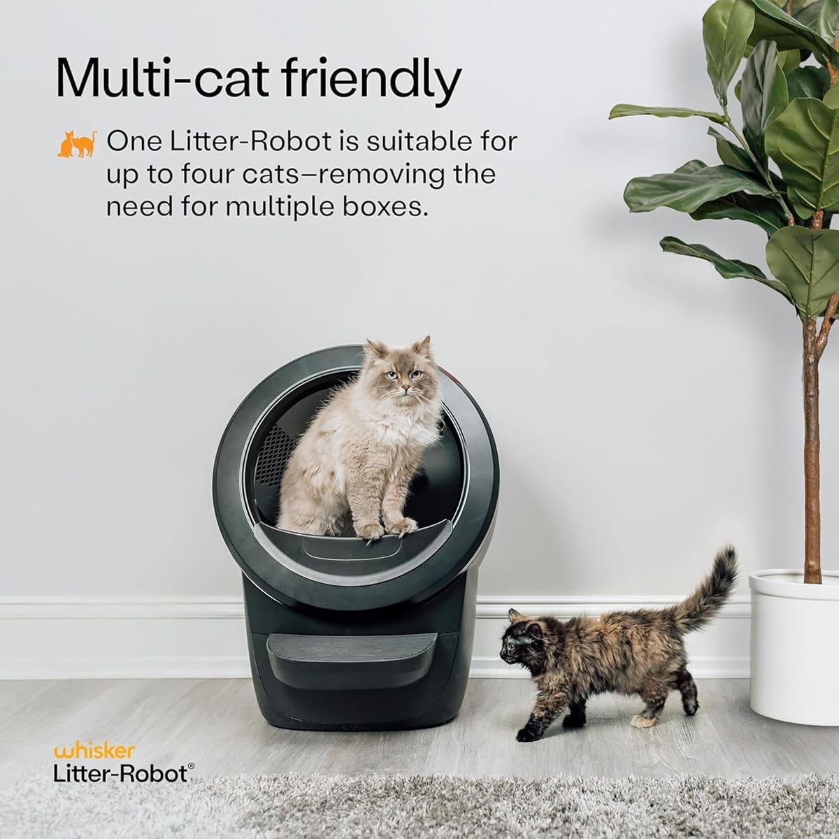 Two cats with a black Litter-Robot 4 in a home, from the Amazon listing