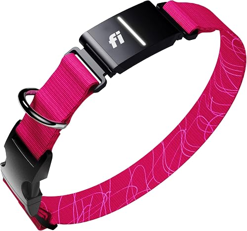 Fi Series 3+ Smart Dog Collar — Amazon product photo