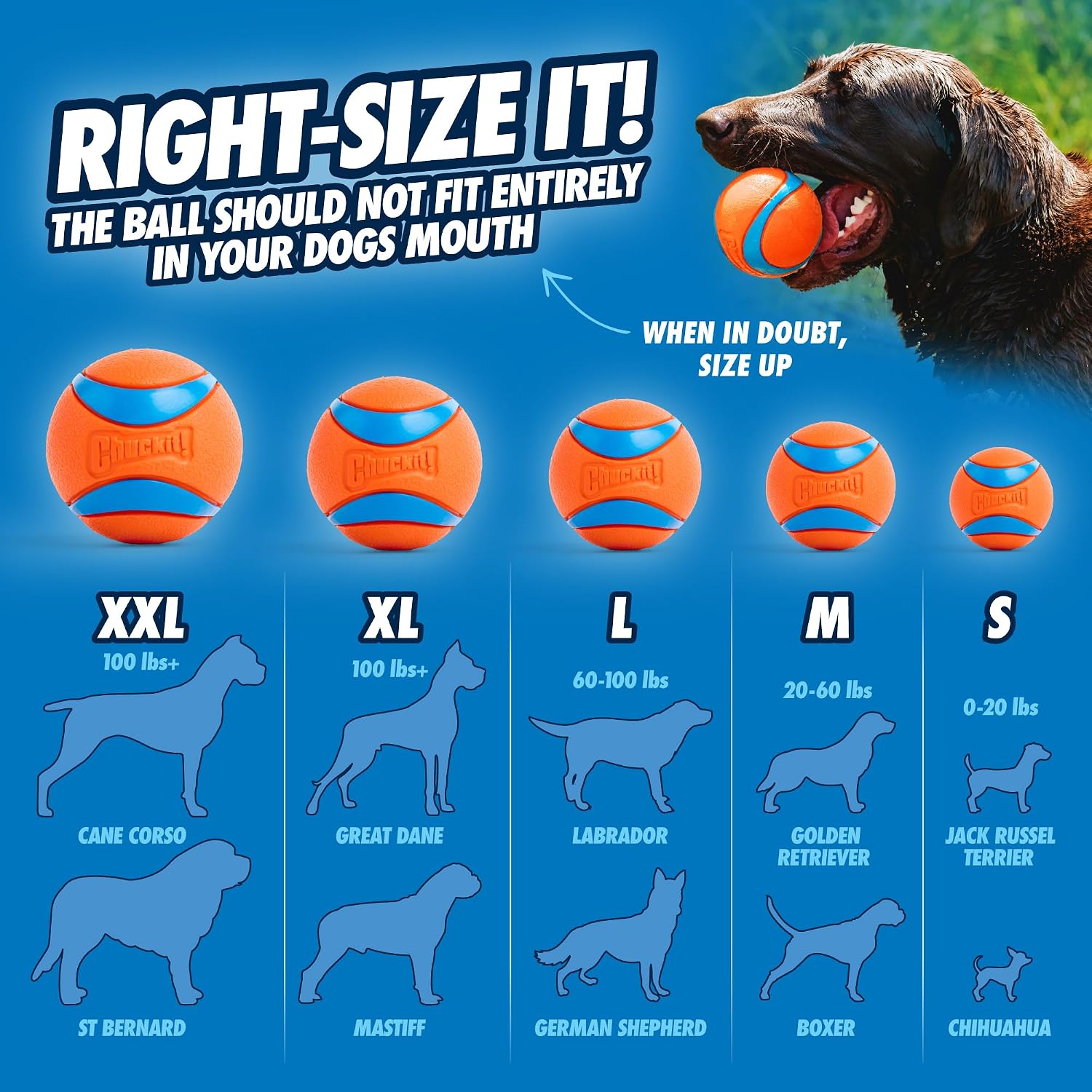 Chuckit size chart: medium Ultra Ball for dogs 20 to 60 pounds, with the note to size up when in doubt