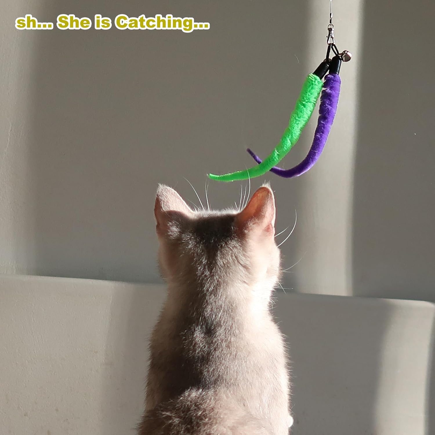 Cat looking up at green and purple worm toys hanging from a clasp and bell