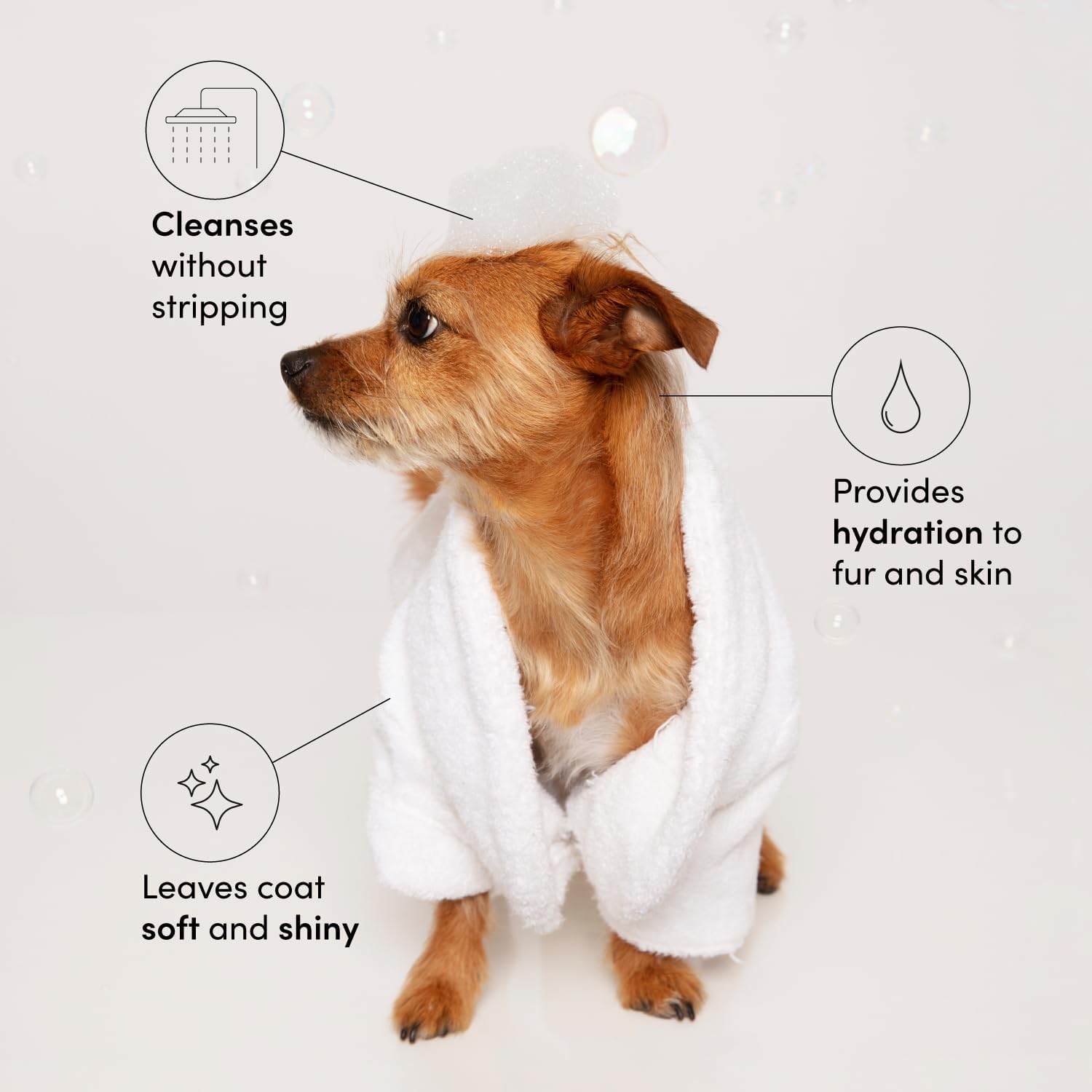 Listing graphic of a dog in a robe with claims that the shampoo cleanses without stripping, hydrates fur and skin, and leaves the coat soft and shiny