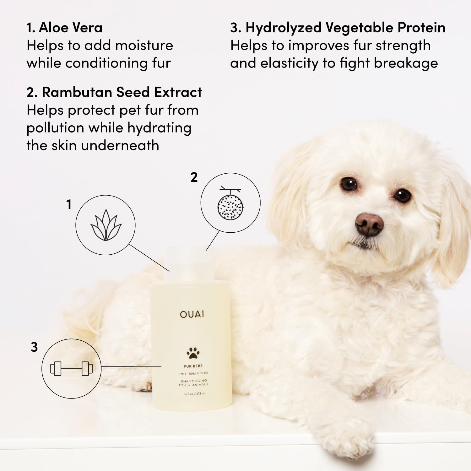 White dog beside the OUAI bottle, with callouts for aloe vera, rambutan seed extract, and hydrolyzed vegetable protein