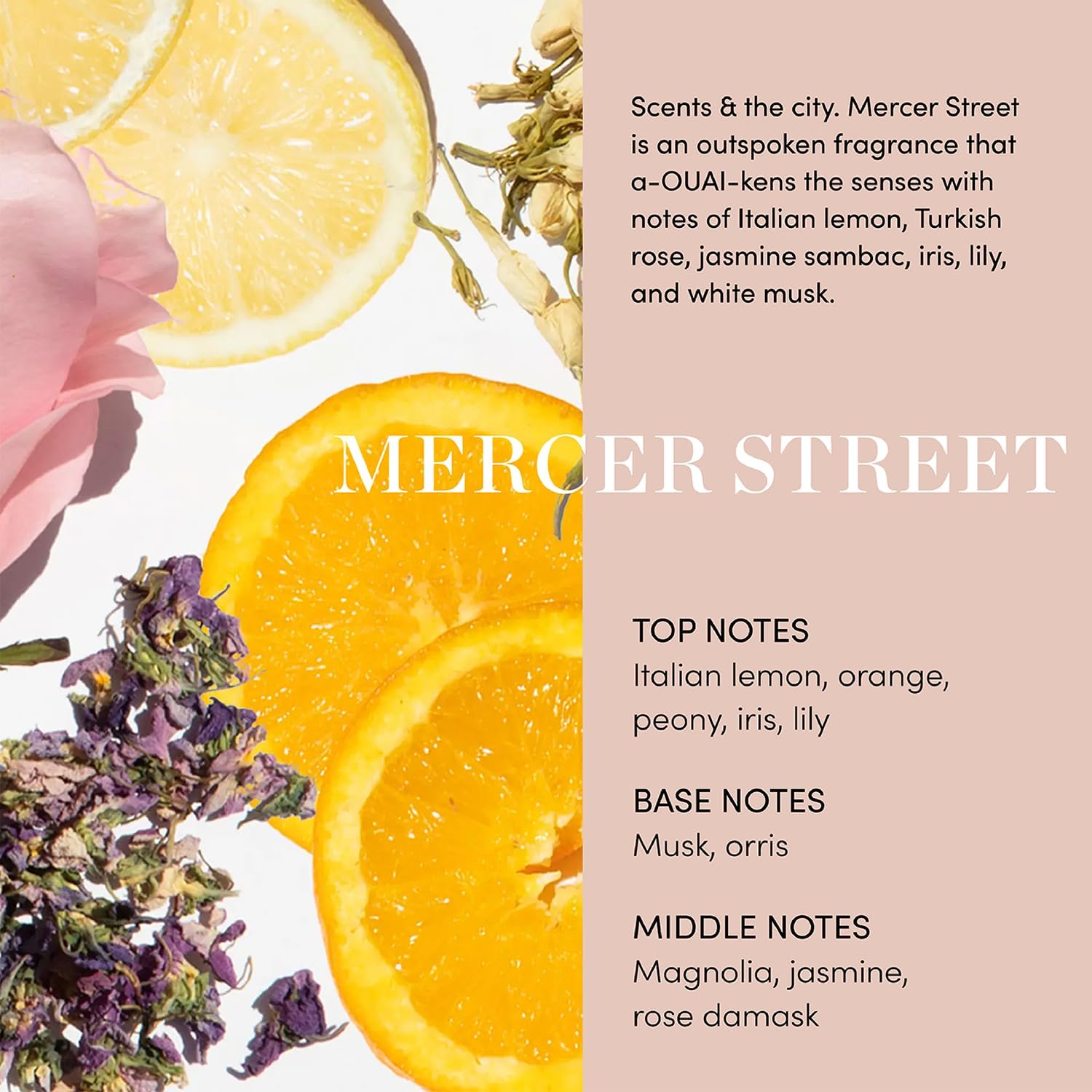 Mercer Street scent card with citrus, rose, and notes of Italian lemon, Turkish rose, jasmine, iris, lily, and white musk
