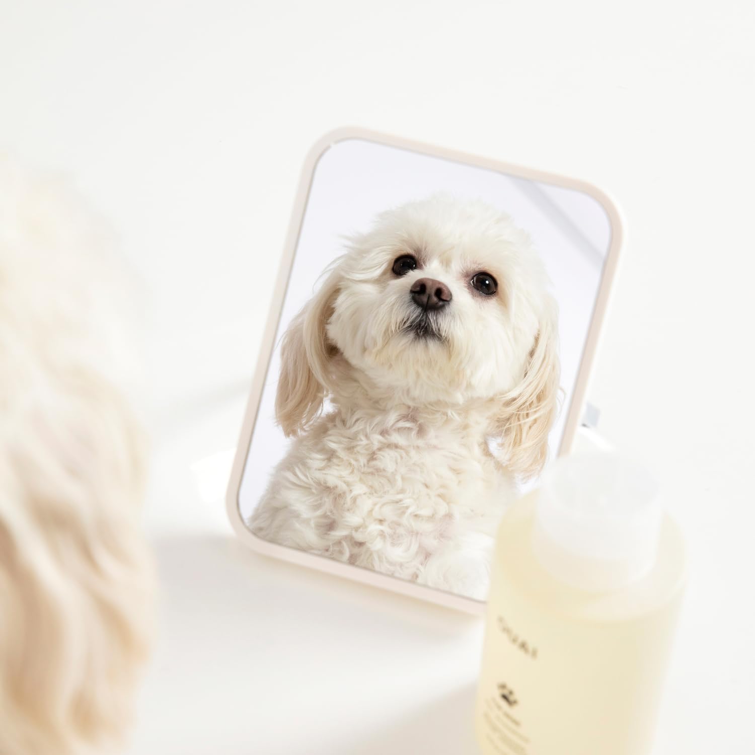 OUAI bottle beside a mirror reflecting a small white dog