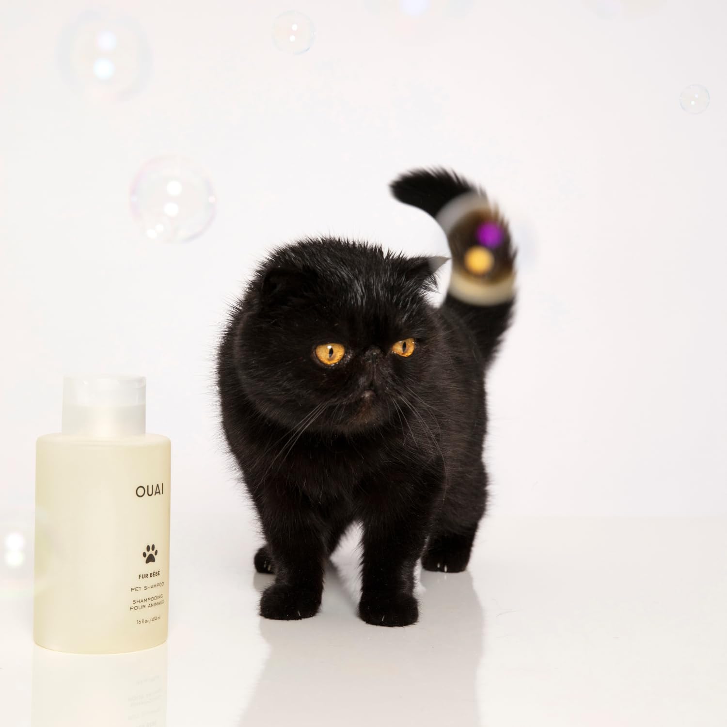 Black cat standing next to the OUAI Fur Bébé bottle
